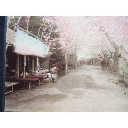 他の写真1: 明治・手彩色古写真　 向島の桜 20,5×26,5cm　江崎礼二　　