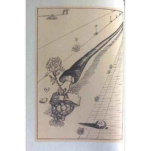 他の写真1: ダリ挿絵14点　ビリー・ローズ「酒・女・話」英文　1948年